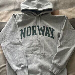 Gray Hoodie with Green Norway Print